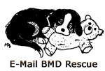 EmailBMDRescue